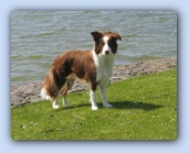 juni 2005